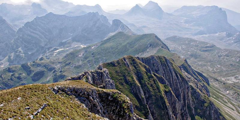 YR纺织89：揭秘优质纺织原料与布料批发的成功之道