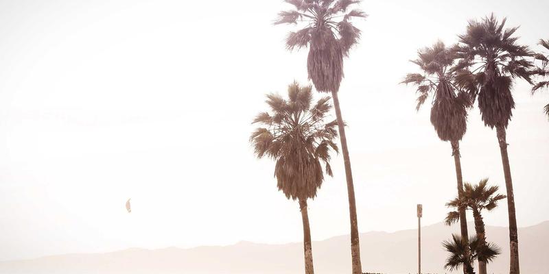 从传统到智能：YR纺织如何以日式禅意为魂，重塑高效面料供应新范式