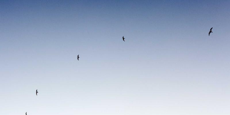 从源头重塑时尚：YR纺织如何以创新材料引领可持续未来