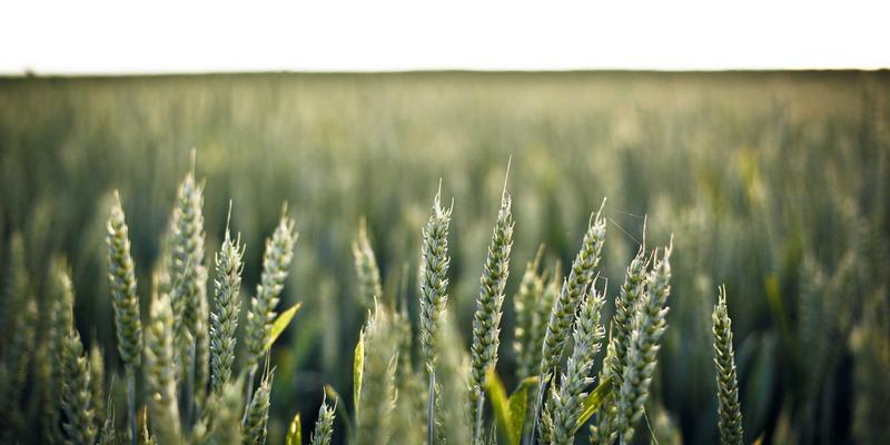 光随心动,色由境生:YR纺织光致变色面料如何重塑智能时尚未来