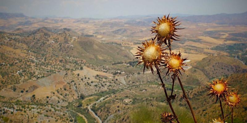 绿色革命:揭秘YR纺织如何以创新印染技术,重塑纺织品与面料供应的环保未来